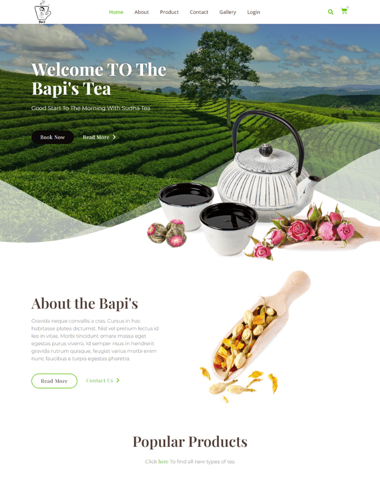 Web 004